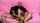 clips4sale kink