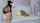 camgirl anal teen
