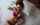What's the name of this porn star?