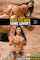 digital playground big tits brunette