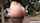 What's the name of this porn star?