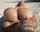 What's the name of this porn star?