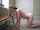 What's the name of this porn star?