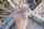 What's the name of this porn star?
