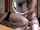 teenager 3some