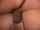 teenager braces cumshot