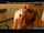 compilation cumshot