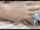 cumshot orgasm outdoors
