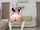 masturbation shaved big ass