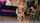 What's the name of this porn star?