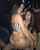 What's the name of this porn star?