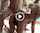Where can I find this video?