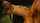 What's the name of this porn star?