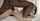 petite bbc blacked