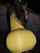 Name that yellow ?