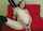 solo anal masturbation