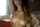 webcam teen amateur