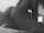 black humping pillow