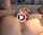 Where can I find this video?