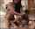rough threesome teen