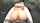 ass fuck asian
