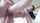 pussy cum pov