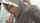 asian blowjob