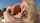 anal sex sucking