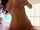 hd amateur masturbation