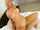 homemade blonde big tits