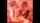 FULL Vid
