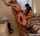 clips4sale