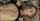 What′s the name of this porn star?