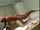 Where can I find this video?