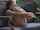 What's the name of this porn star?