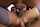 21sextury teen facial