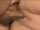 What's the name of this porn star?