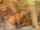 candyfilmscom toys masturbation