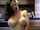 What's the name of this porn star?