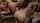 orgy
