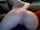 cam camgirl booty