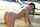 What's the name of this porn star?