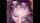 black interracial blowjob