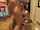 teenager blowjob amateur