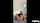 Where can I find this video?