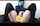 chaturbate camgirl