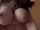 jav