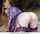 What's the name of this porn star?