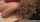 What's the name of this porn star?