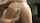 digital playground